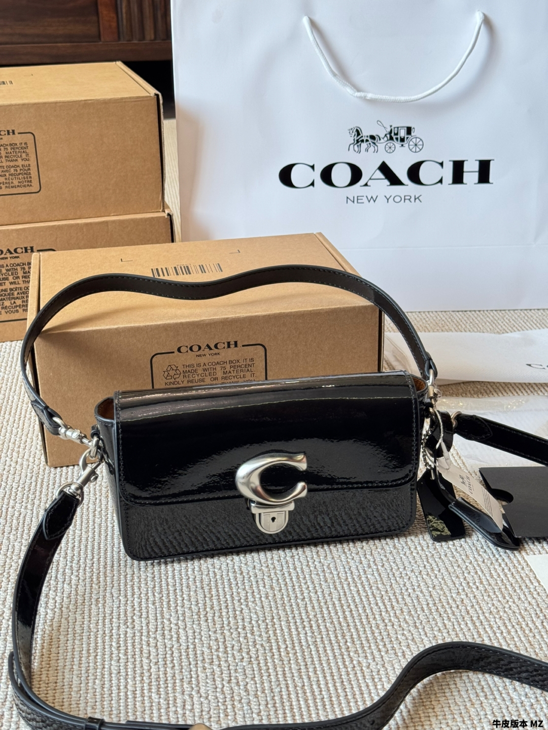 coach bag 320